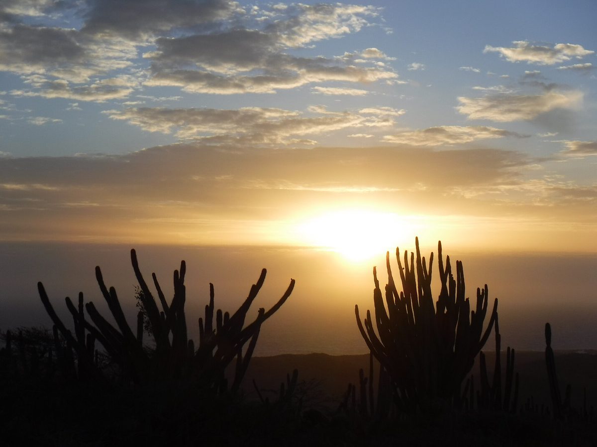 Rugged cactus-dotted desert landscape inland on Aruba, the backdrop for teen UTV and Jeep safaris
