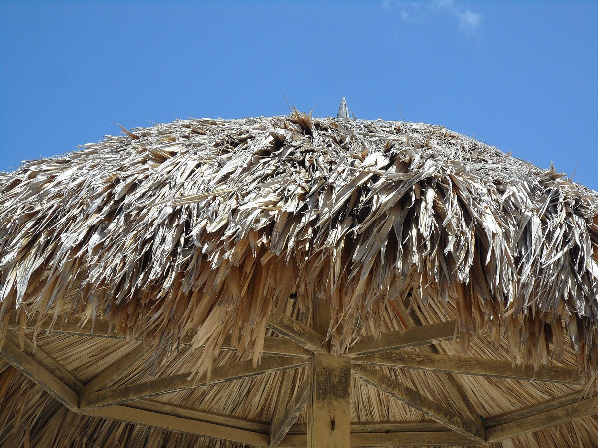 Thatched palapa sun shelter on Eagle Beach, Aruba, against a clear blue sky