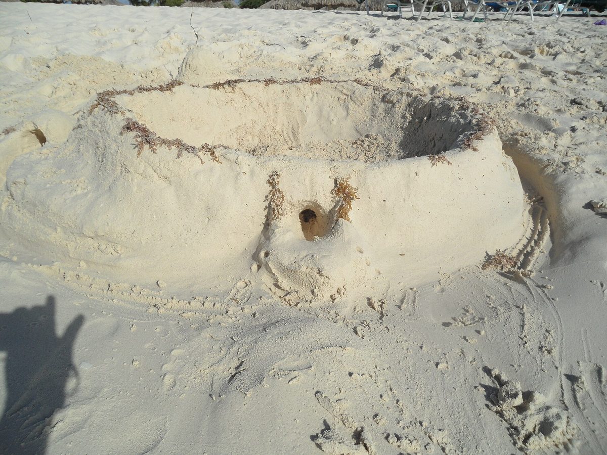 Soft white sand and gentle surf at Eagle Beach, Aruba