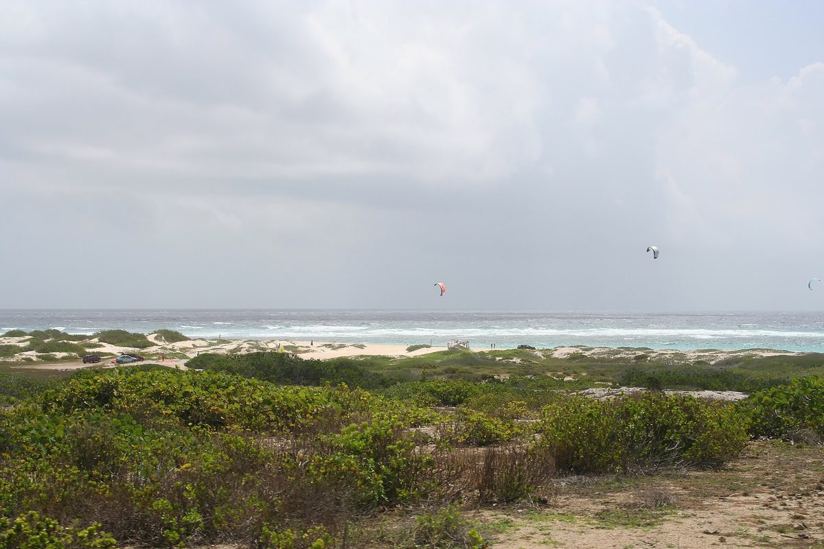 Kitesurfer riding the trade winds off the coast of Aruba