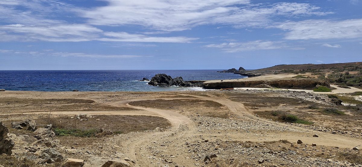 Aruba's wild northeast coast near the Natural Bridge, with dirt 4x4 tracks winding through cunucu terrain to a rocky bay