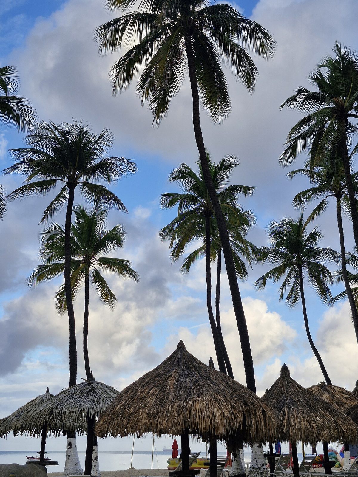Palm trees and thatched palapas on Palm Beach, Aruba, a short taxi from the cruise port