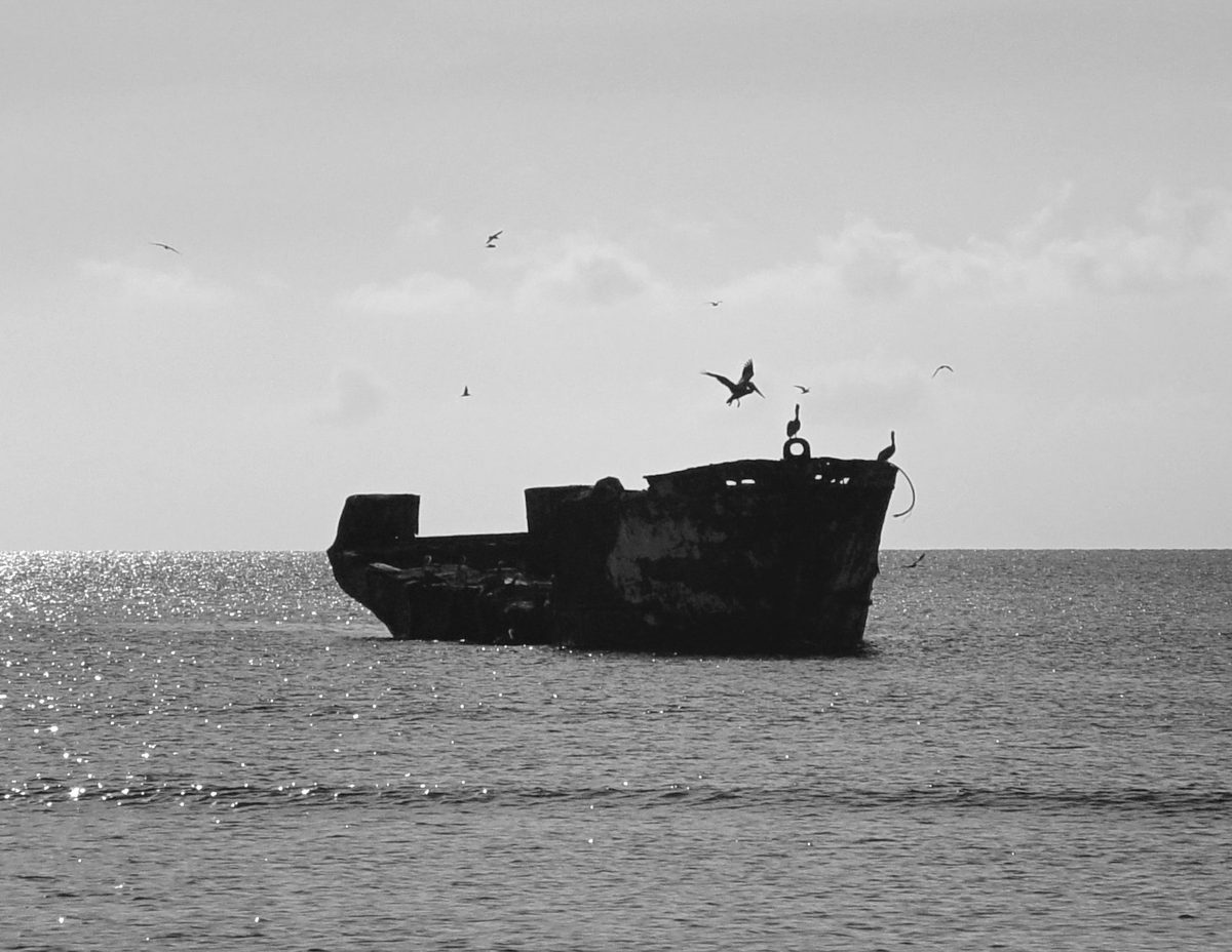 A sunken ship off Aruba's northwest coast near Palm Beach, the kind of wreck snorkeling tours visit