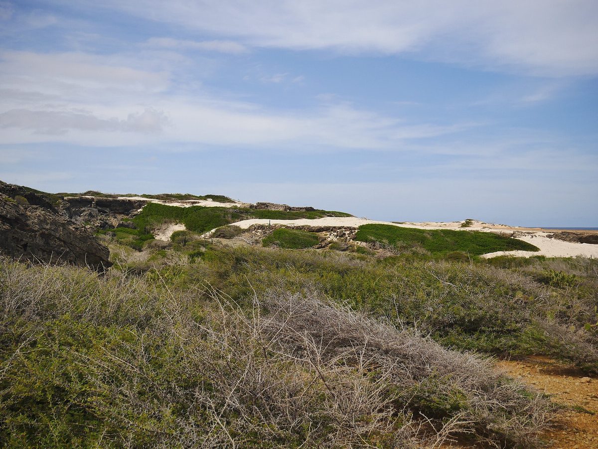 Sand dunes behind the secluded Boca Prins beach in Aruba