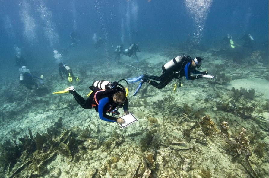 Group of scuba divers descending over a reef in clear water, like a guided Discover Scuba dive in Aruba
