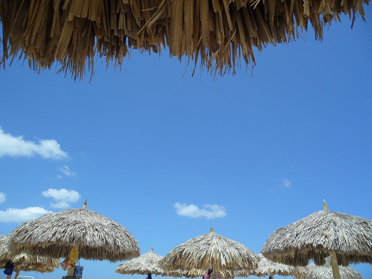 Thatched palapa sunshade umbrellas on the sand at Eagle Beach, Aruba