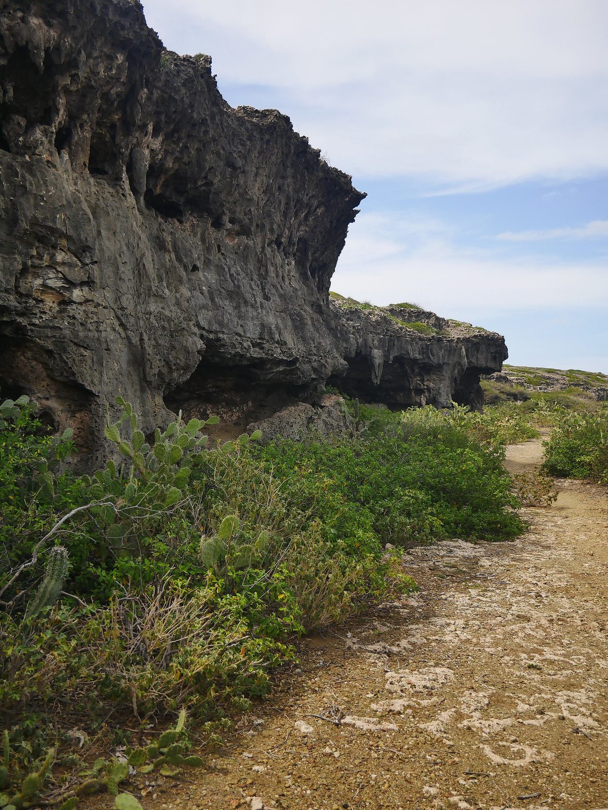 Limestone cliffs and the rocky entrance terrace near fontein cave aruba in Arikok National Park