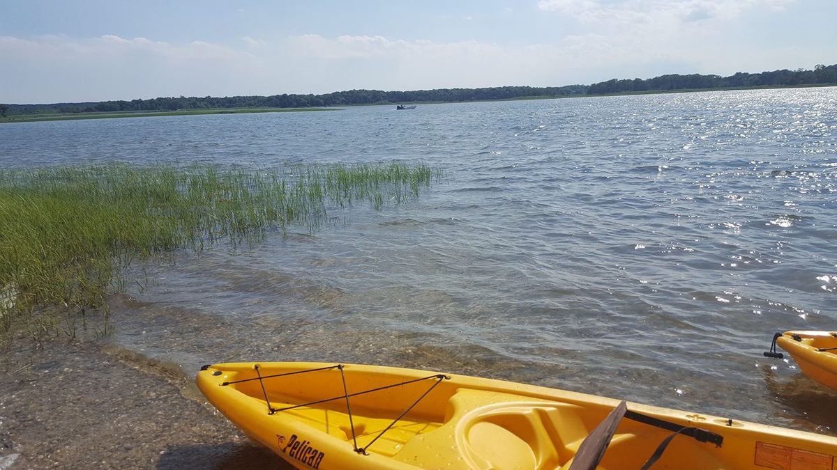 Kayak resting in the calm shallows of a mangrove lagoon like Spanish Lagoon in Aruba