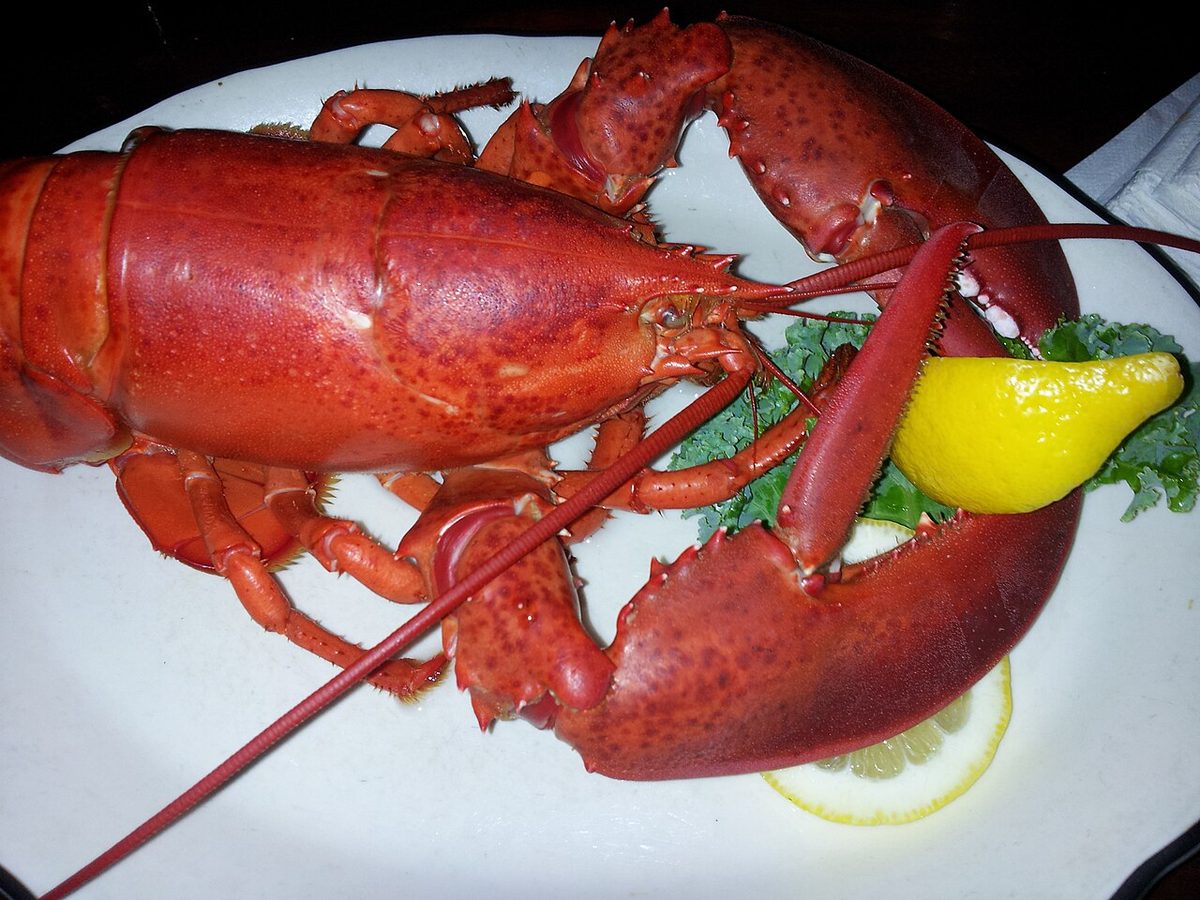 A whole cooked lobster served with lemon, a treat on Aruba seafood menus