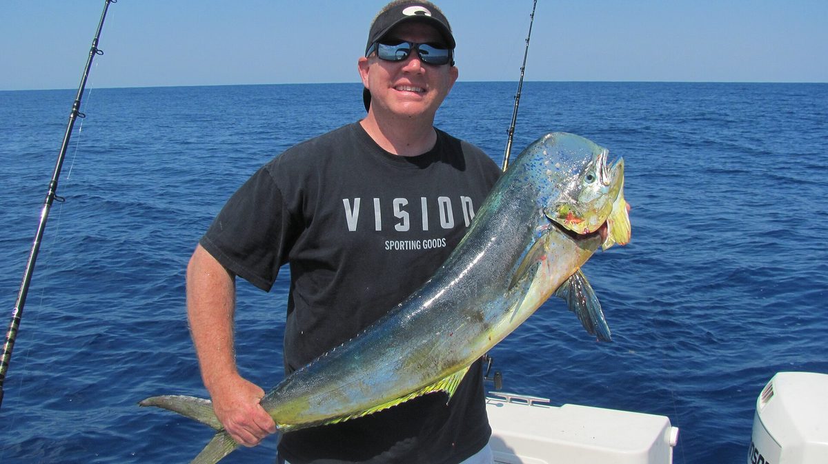 A freshly caught mahi-mahi (dorado), one of the top catches on Aruba fishing trips