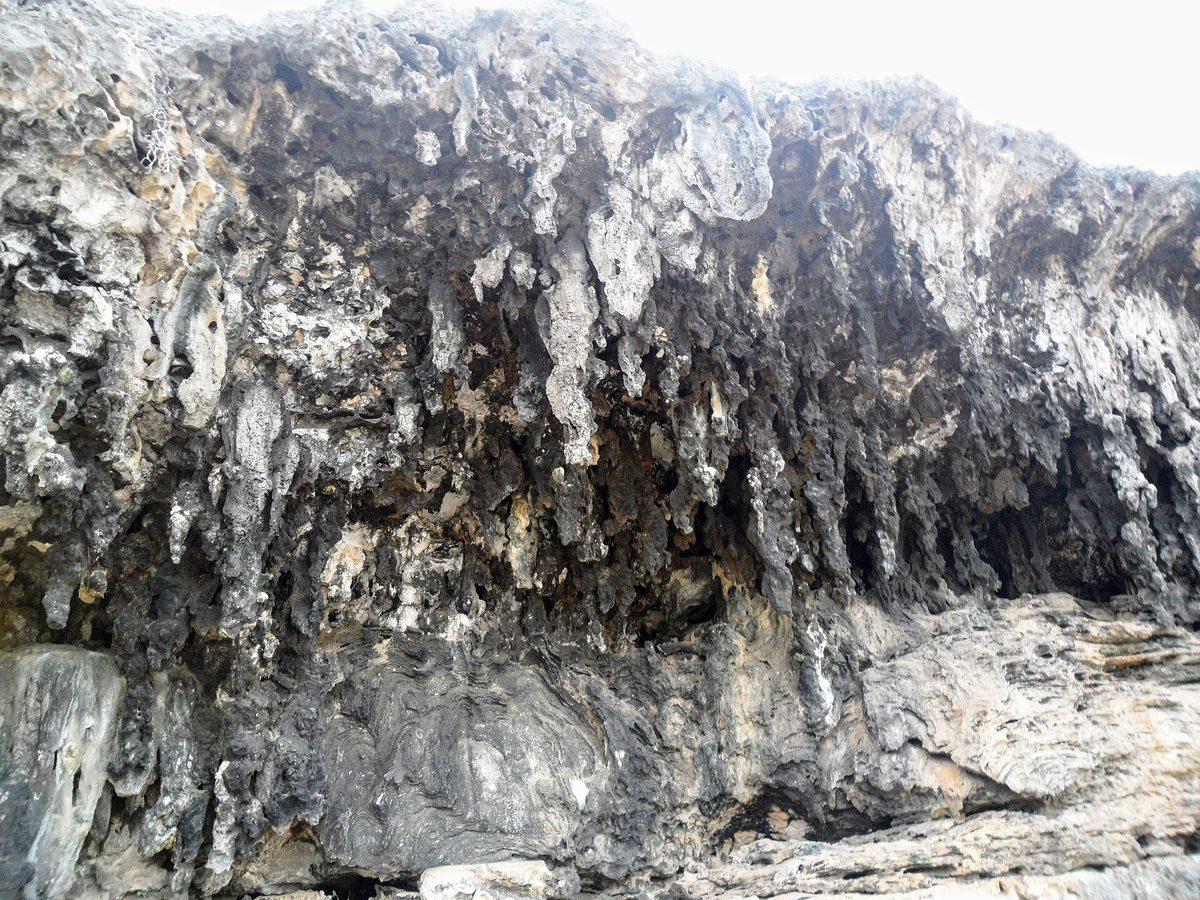 Weathered limestone rock formations and stalactite shapes at a cave cliff in Arikok National Park, Aruba