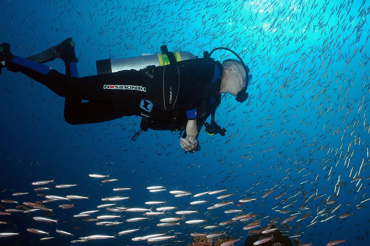 Scuba diver surrounded by a cloud of silver baitfish in clear blue Caribbean water